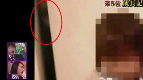 爆料诡异视频大全最新网站,最新诡异视频大全网站大揭秘