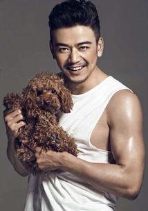 杨烁婚姻爆料了吗视频下载,揭秘明星婚姻背后的真相  第3张